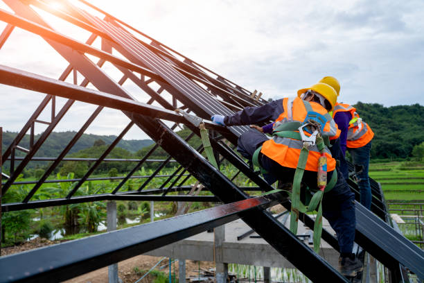 Best Roof Gutter Cleaning  in Apollo, PA